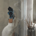 Shiny Bath™ PRO Drying Towel